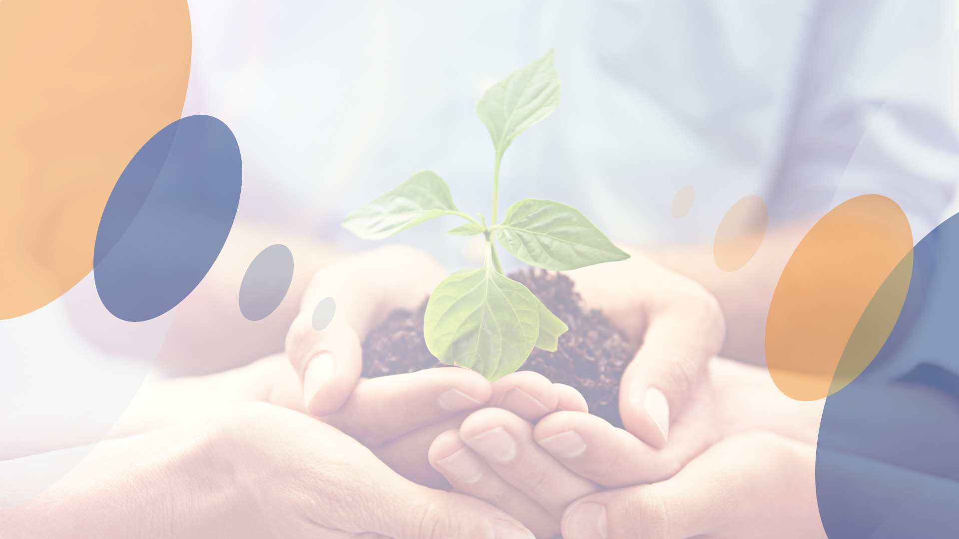 麻将胡了2·(中国区)官方网站-游戏入口